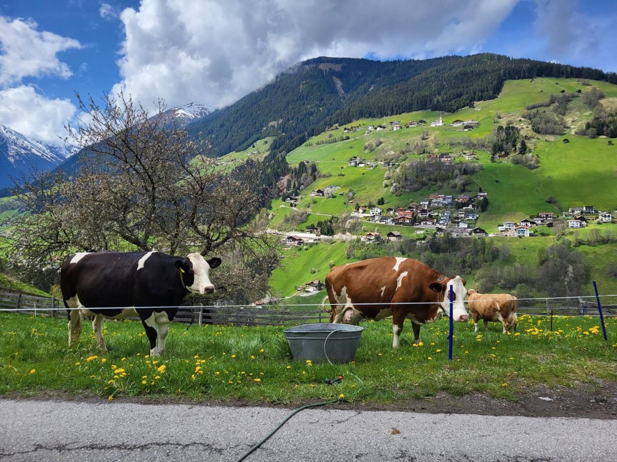 Bergbauernhof-Grinzens Leilighet Eksteriør bilde