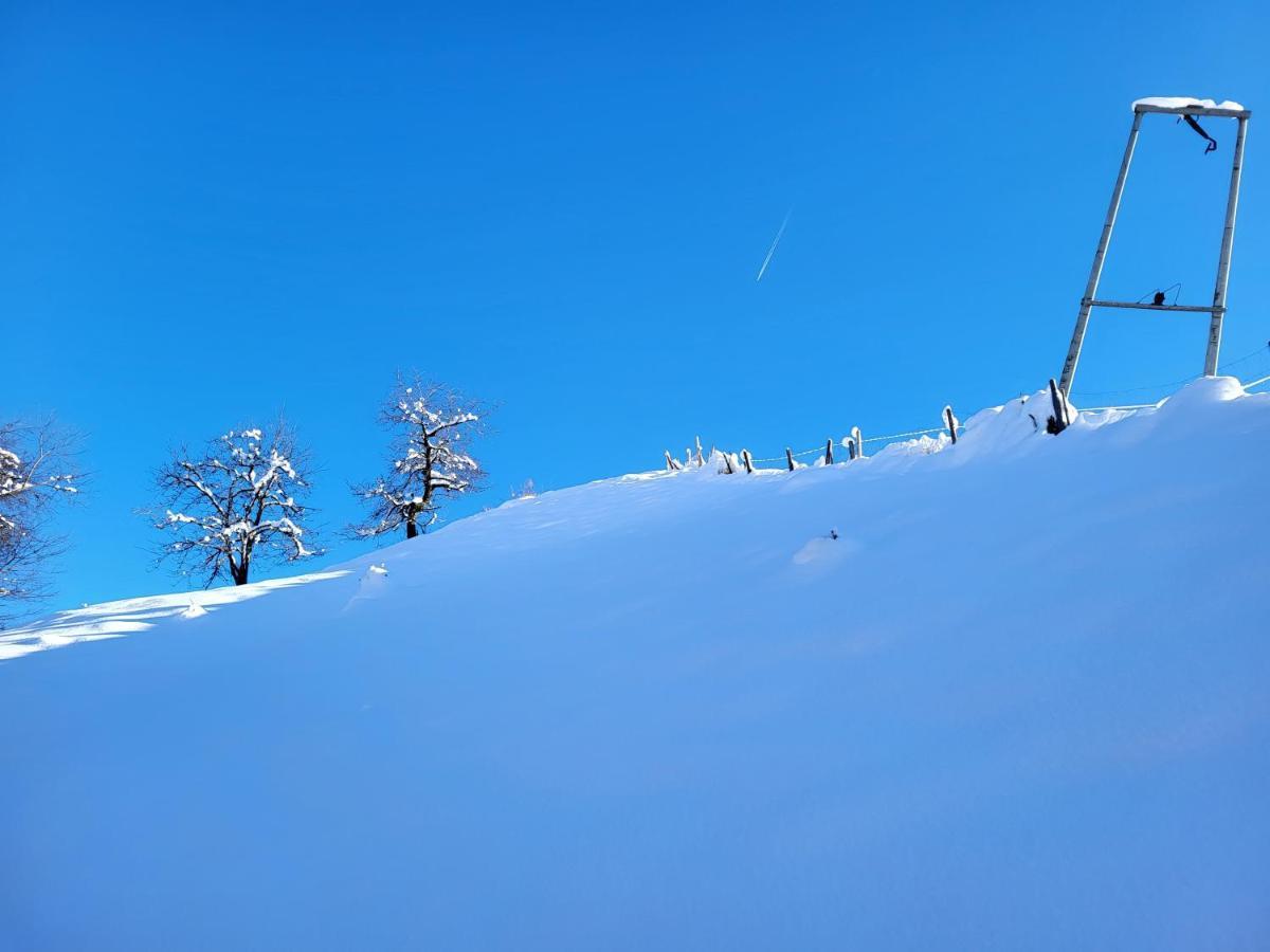 Bergbauernhof-Grinzens Leilighet Eksteriør bilde